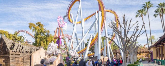 2024 WALK YOUR WAY RAISES OVER $68,000, MARKS LARGEST POST-PANDEMIC TURNOUT