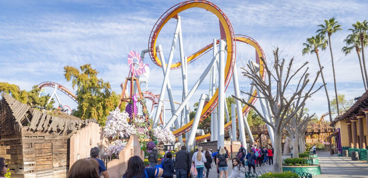 2024 WALK YOUR WAY RAISES OVER $68,000, MARKS LARGEST POST-PANDEMIC TURNOUT